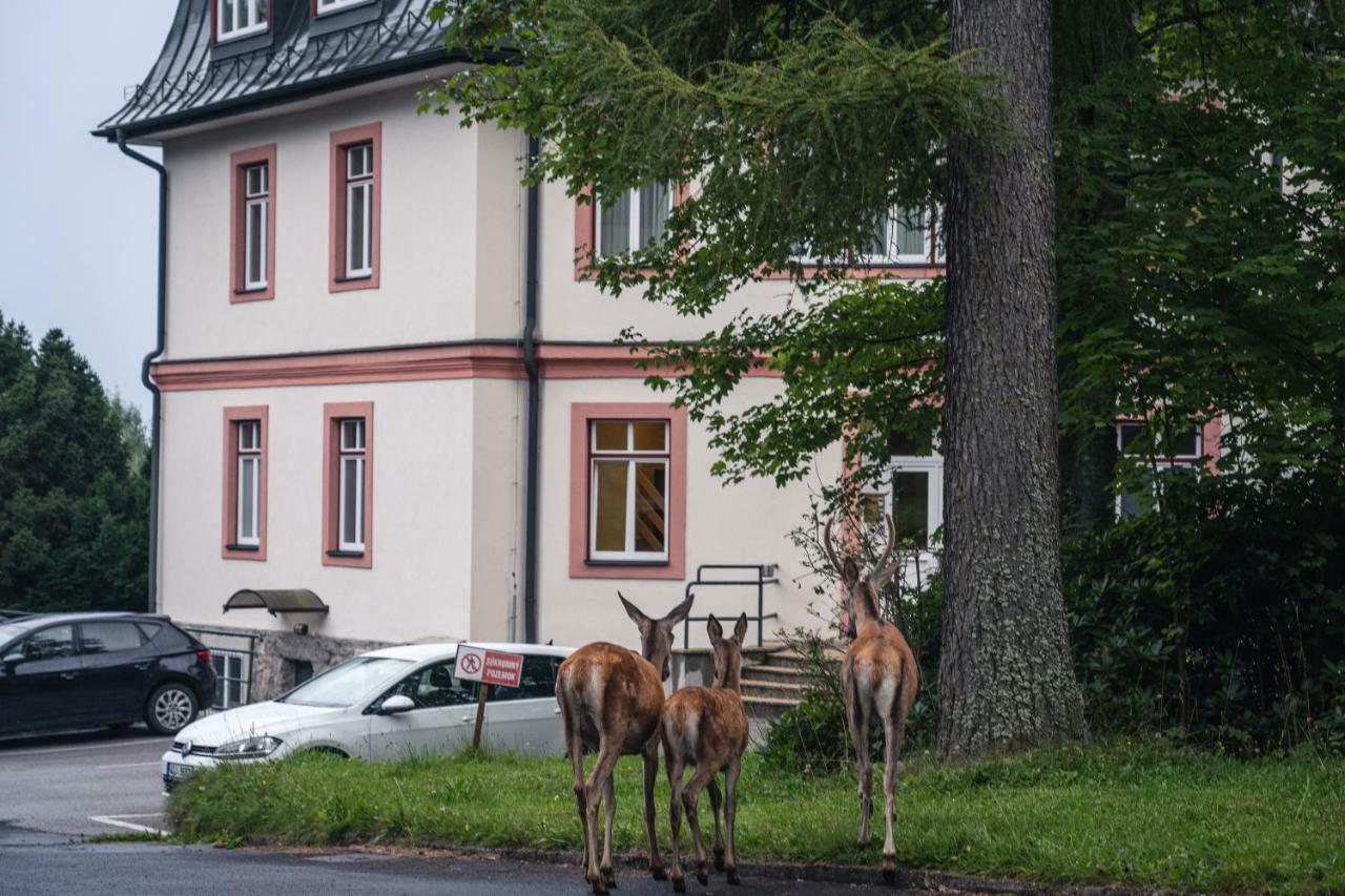 AC Apartmány Lomnica Tatranská Lomnica Esterno foto